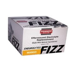 Viên Sủi Điện Giải Hammer Nutrition Endurolytes Fizz Thùng 12 Hộp