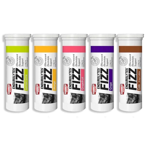 Viên Sủi Điện Giải Hammer Nutrition Endurolytes Fizz 13 viên