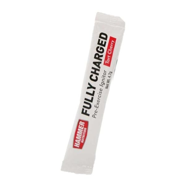 GIFT Hammer Nutrition Fully Charged  1 Serving