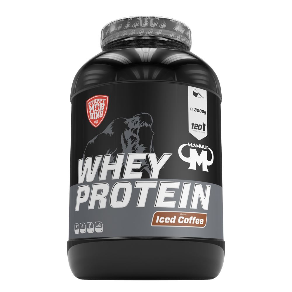 Mammut Nutrition ProteinMaster Shaker 500 Ml – Nero, Senza BPA, Con Sfera A Spirale, Facile Da Pulire