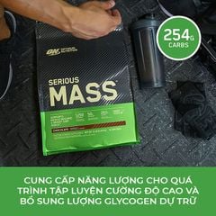 Serious Mass 12lbs (5.44kg) - Sữa Tăng Cân Optimum Nutrition