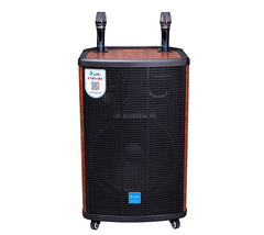 Loa Kéo AZPro AZ-855A Bass 40