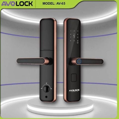 Khóa Vân Tay Cửa Gỗ AVOLOCK AV-65-G