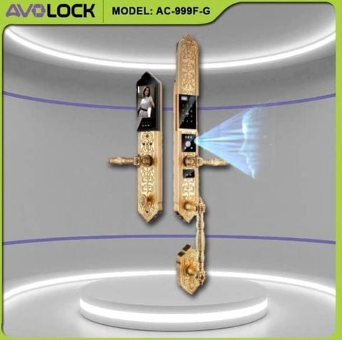 Khóa Vân Tay Cửa Gỗ Đại Sảnh AVOLOCK AC-998F-G