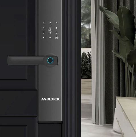 Khóa Vân Tay Cửa Gỗ AVOLOCK AV-62-B