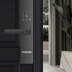 Khóa Vân Tay Cửa Gỗ AVOLOCK AV-62-B