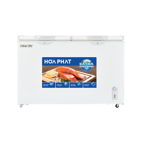 Tủ đông Hòa Phát HPF BD6271 271 lít