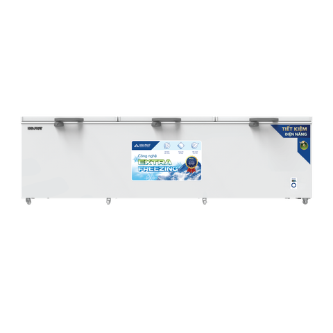 Tủ đông dung tích lớn Hòa Phát HPF AD61190.1 1190 lít