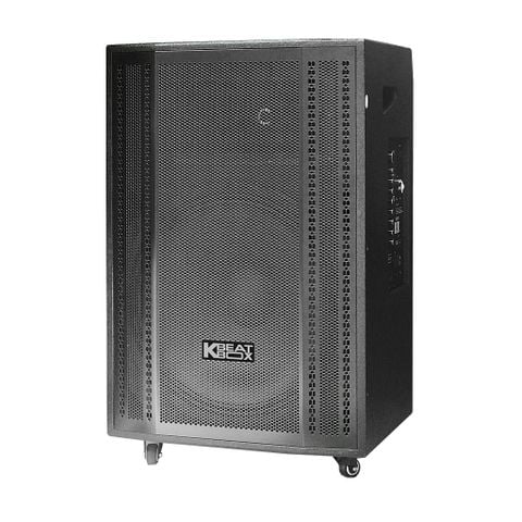 Loa kéo ACNOS CB501GN