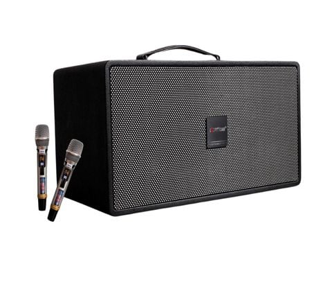 Loa Xách Tay OMATON EK-3600 LUXURY