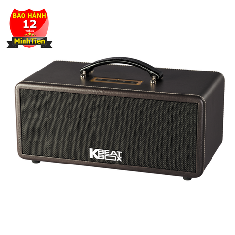 Loa xách tay ACNOS KS361S