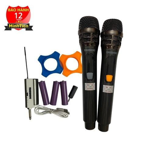 Micro không dây đa năng Temeisheng W106