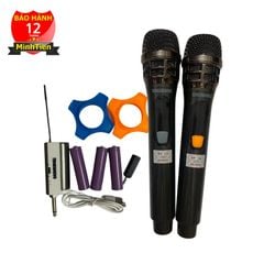 Micro không dây đa năng Temeisheng W106