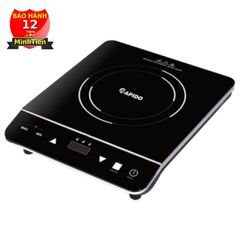 Bếp từ đơn Rapido RI2000ES