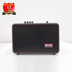 Loa bluetooth karaoke xách tay Temeisheng RB-600