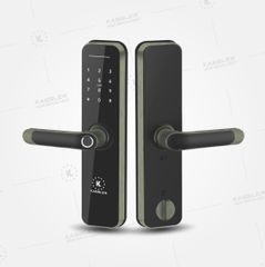 Khóa vân tay Kassler KL-668 App Green Bronze