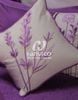 Bộ ga phủ Blue Sky BS40 - 180x200