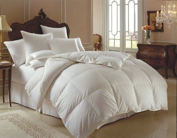 Chăn Lông Vũ Cao Cấp 200*220 – HANVICO ẤM ÁP NHƯ LÒNG MẸ