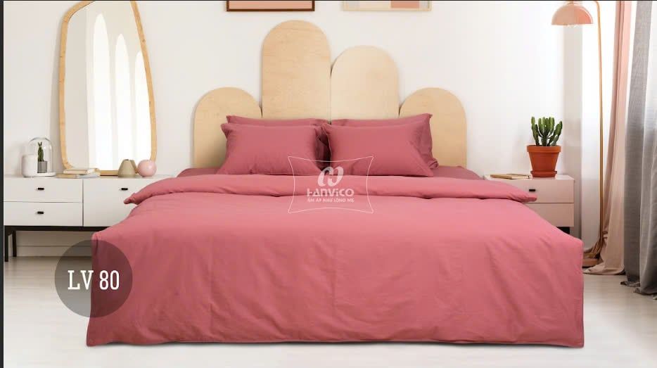 Bộ ga chun LIVING – LV80 Hanvico