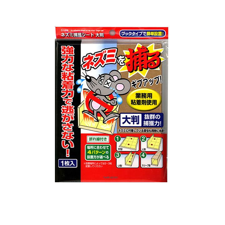 Miếng bẫy chuột