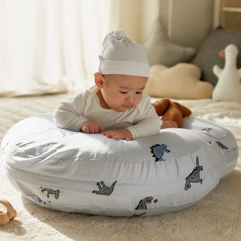 Vỏ gối chống trào ngược Dono&Dono Dino Dino