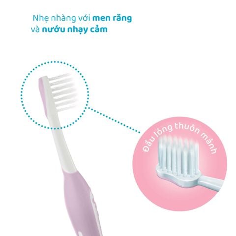 Bàn chải đánh răng tím hồng Chicco 6 -36M