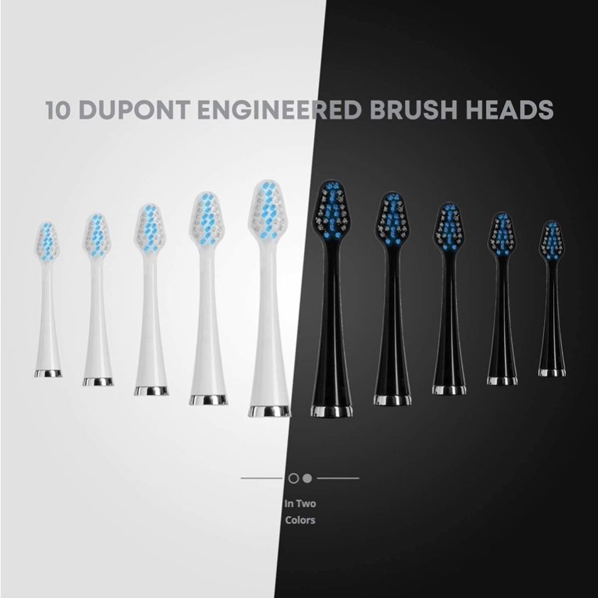 aquasonic duo toothbrush replacement heads