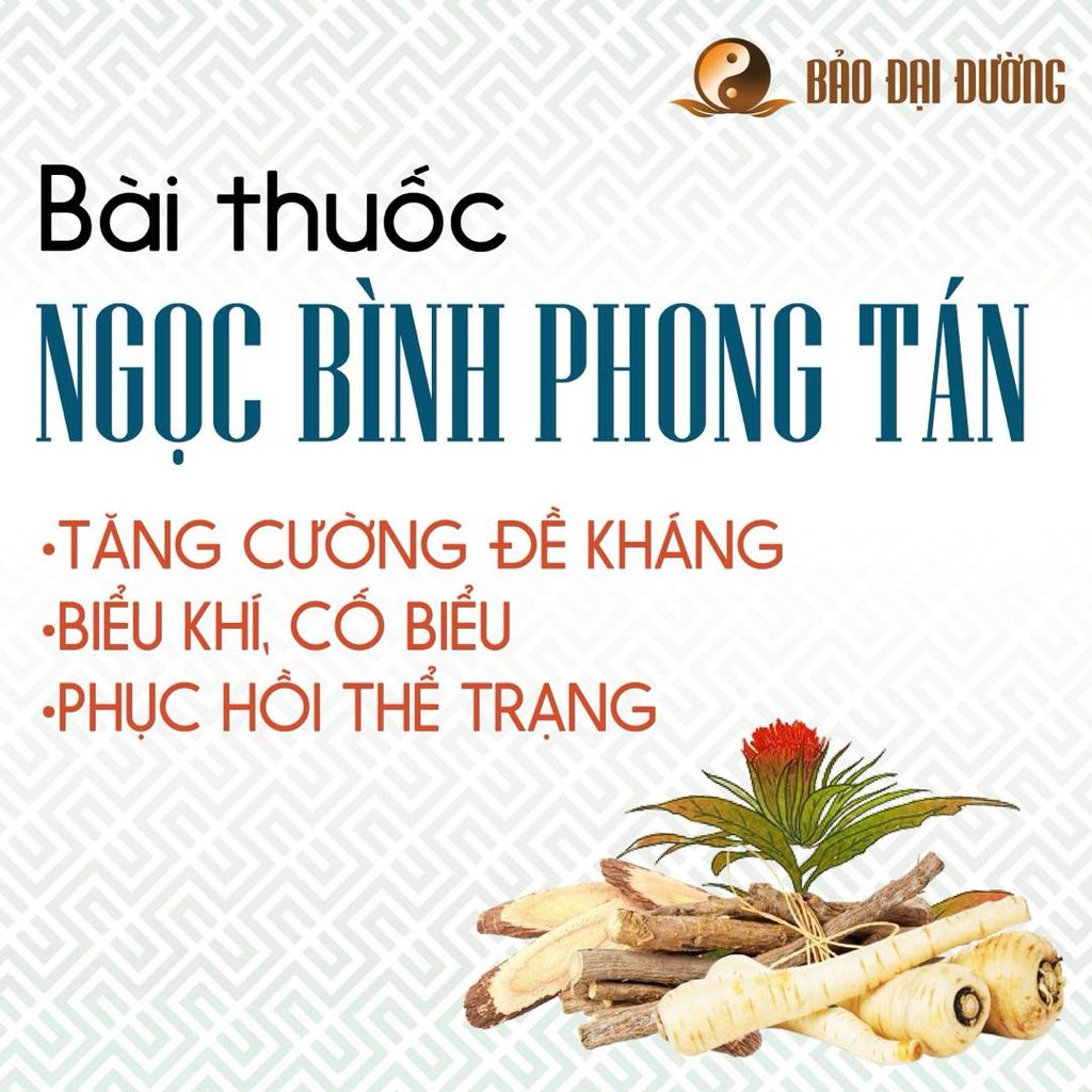 Bài thuốc Ngọc Bình Phong