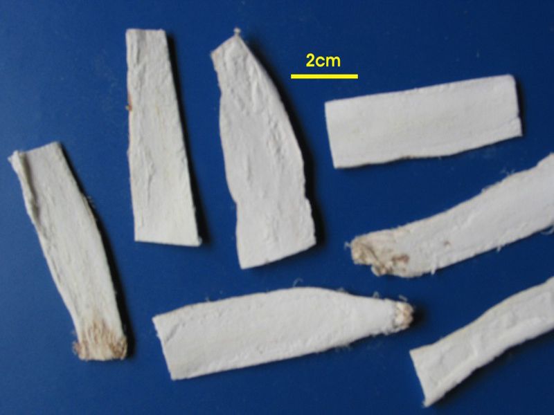Cát căn