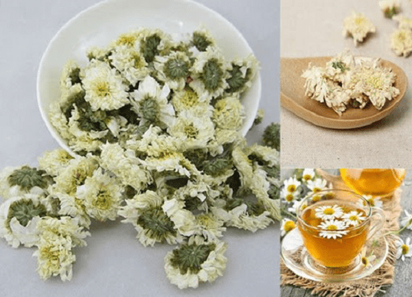 Bạch cúc hoa - Loại 1 | ĐẠT ĐẠI ĐƯỜNG