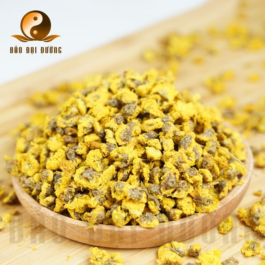 Cúc hoa nụ vàng