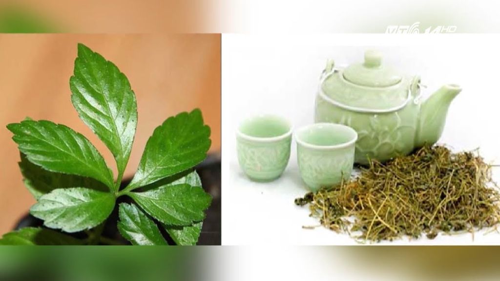 Giảo cổ lam Sapa 1kg