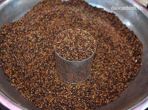 Thảo quyết minh sao