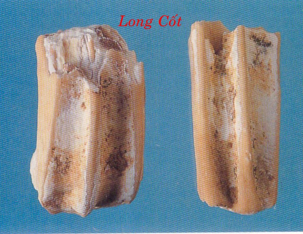 Long cốt