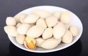 Bạch quả