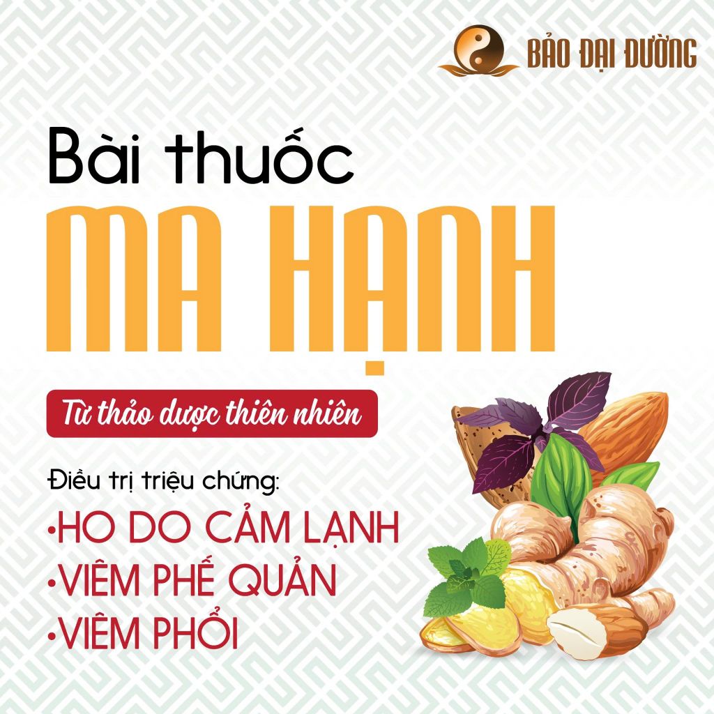 Siro ho Ma Hạnh - Bảo Đại Đường - Bài thuốc cổ phương