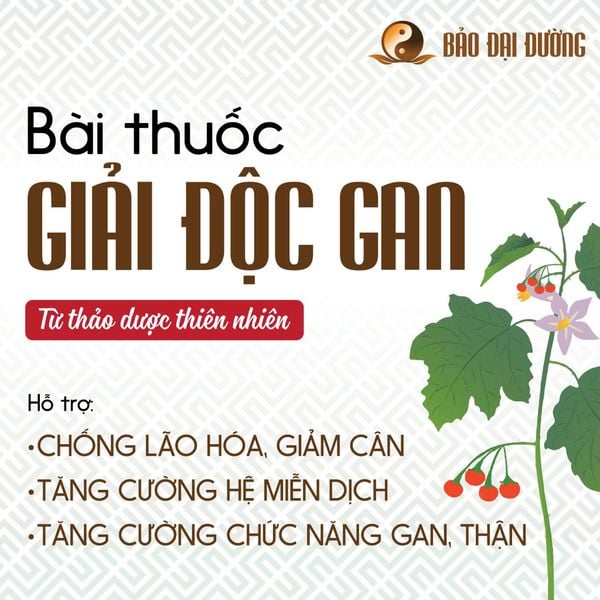 Cao thanh nhiệt giải độc gan - Bài cổ phương