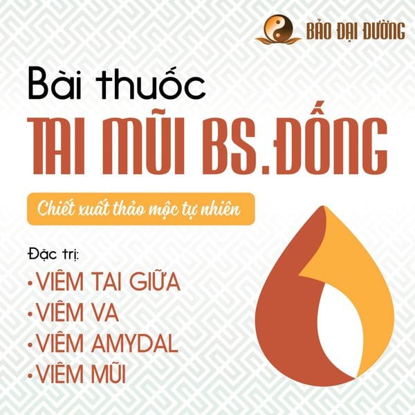 Nhỏ tai mũi BS. Đống - Bài nghiệm phương