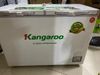 Tủ đông Kangaroo 252 lít KG 400NC2 (mã sp: #34931872)