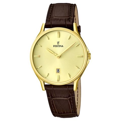Đồng hồ Nam Festina F20253/2