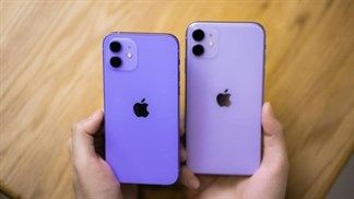 Đặt iPhone 11 và iPhone 12 màu tím cạnh nhau, bạn thích màu trên thế hệ iPhone nào hơn?