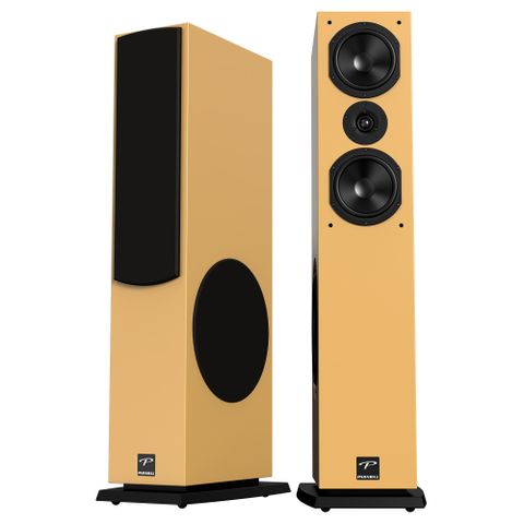 Loa Paramax D88 Luxury Karaoke & Nghe nhạc Hi-Fi