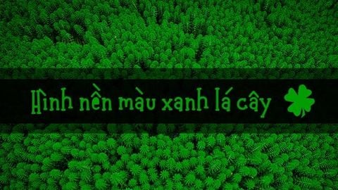 Màu xanh lá cây được xem là màu sắc có tác dụng mang lại sự bình an và tươi mới. Hình nền màu xanh lá cây không chỉ giúp tạo không khí thoải mái và thư giãn mà còn khiến bài thuyết trình của bạn trở nên nổi bật và thu hút. Hãy nhấn play để tận hưởng vẻ đẹp của hình nền màu xanh lá cây.