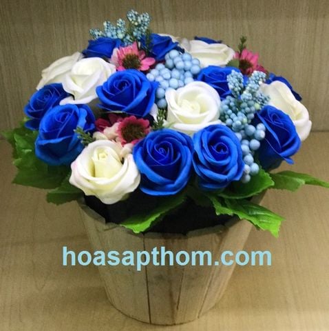 Chậu hoa hồng sáp thơm