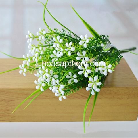 Cụm hoa điểm kèm