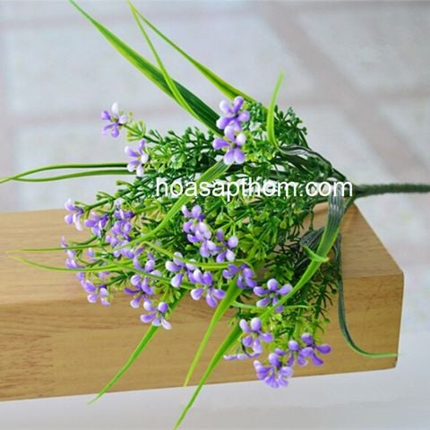 Cụm hoa điểm kèm 