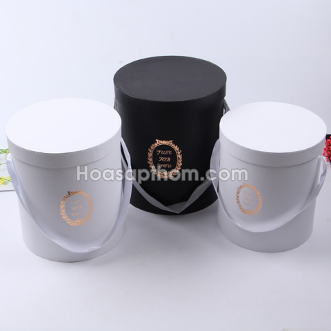 Hộp Giấy Cao Cấp 