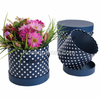 Set 3 Hộp Trụ Chấm Bi Cao Cấp