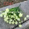 Hoa điểm kèm C041