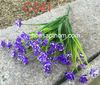 Hoa điểm kèm C041